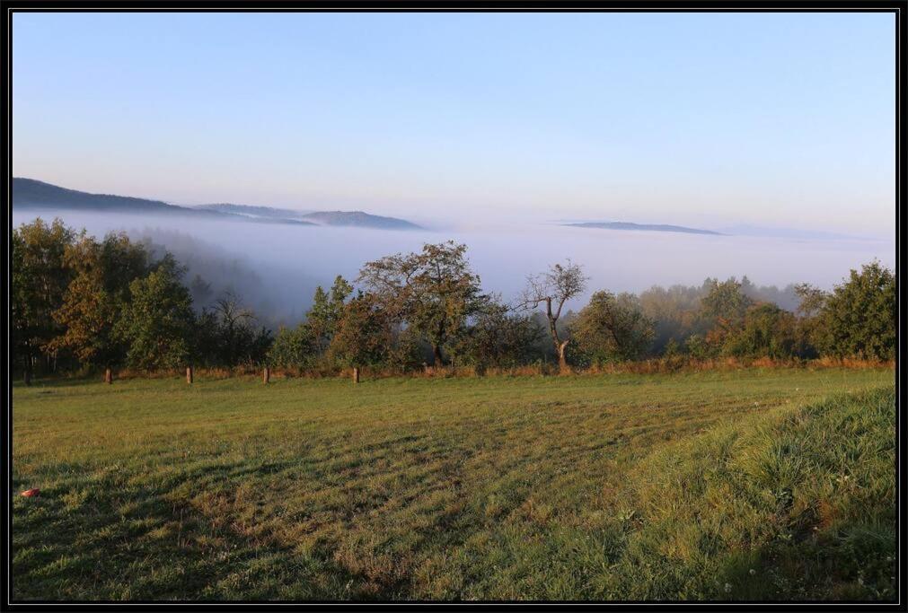 Swiety Spokoj Palesnica المظهر الخارجي الصورة