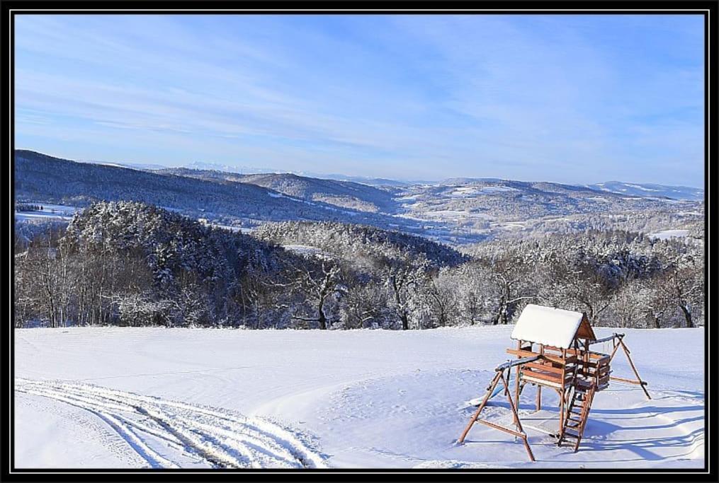 Swiety Spokoj Palesnica المظهر الخارجي الصورة